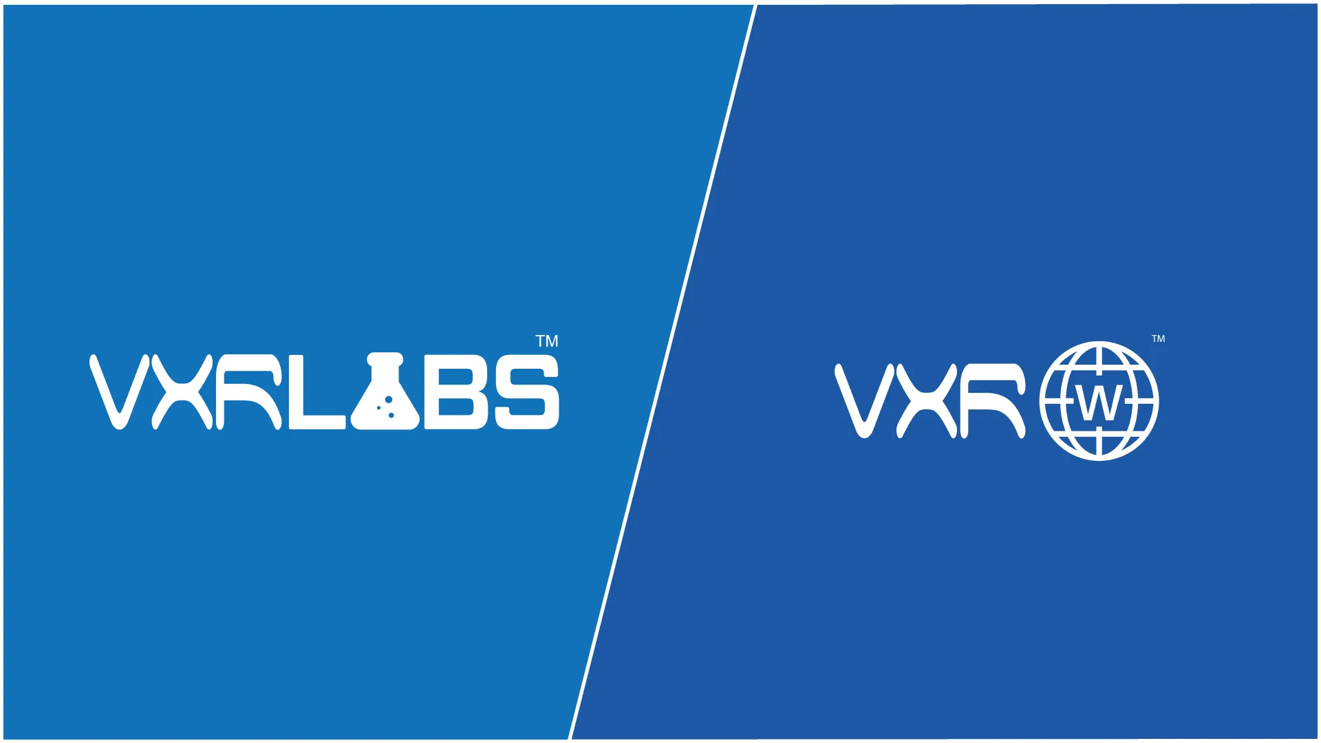 BLACK FRIDAY DEAL: VictoryXR Subscription: VXRLabs (VR   AI)