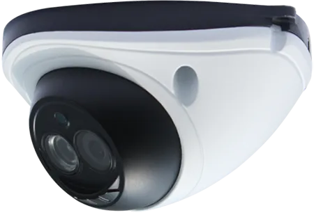 Fortinet FortiCam FCM-MD20 2 Megapixel Network Camera